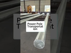 제조업자 열 담긴 전력 강철 전구 금속 용품 전구 교통 전구 통신 전구