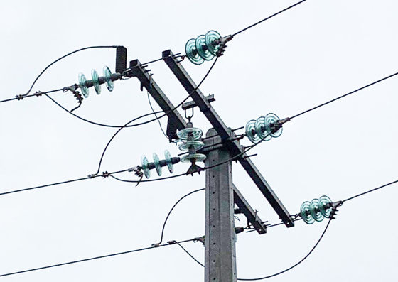 주문 폴란드 단 하나 구조를 위한 33KV 35KV 10000S 배급 십자군 회의 online manufacture